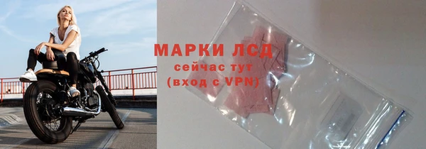 mdpv Бородино